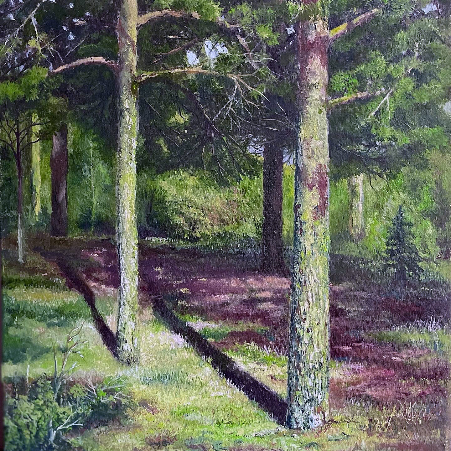 Trees of the Savannah IV