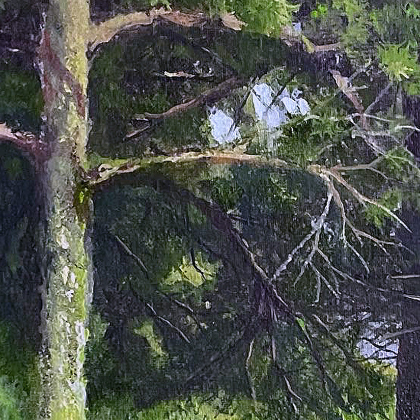 Trees of the Savannah IV