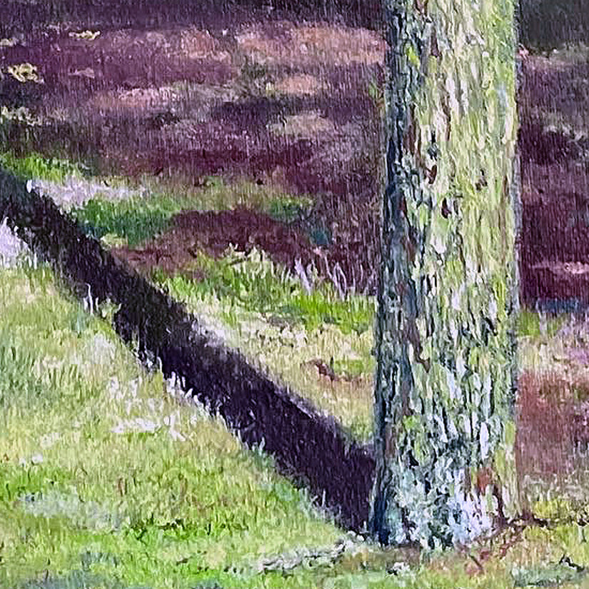 Trees of the Savannah IV