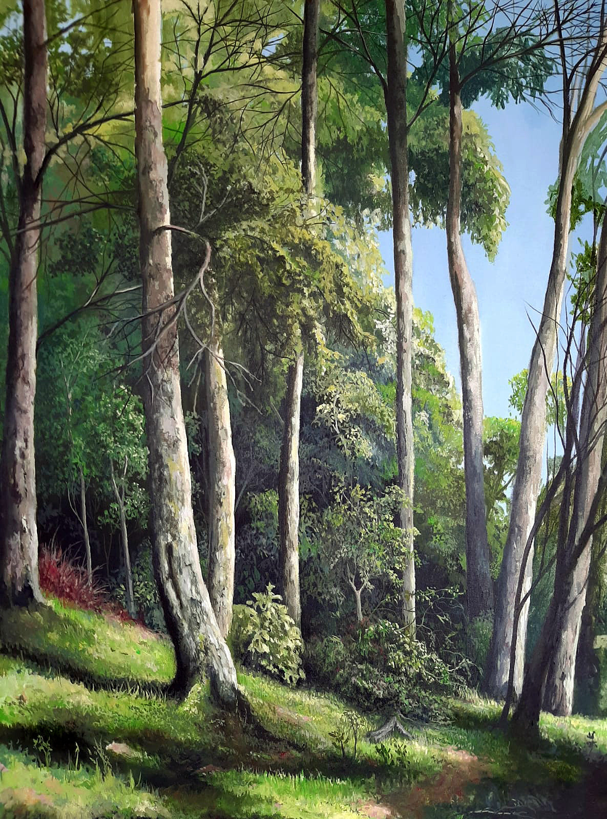 Trees of the Savannah I