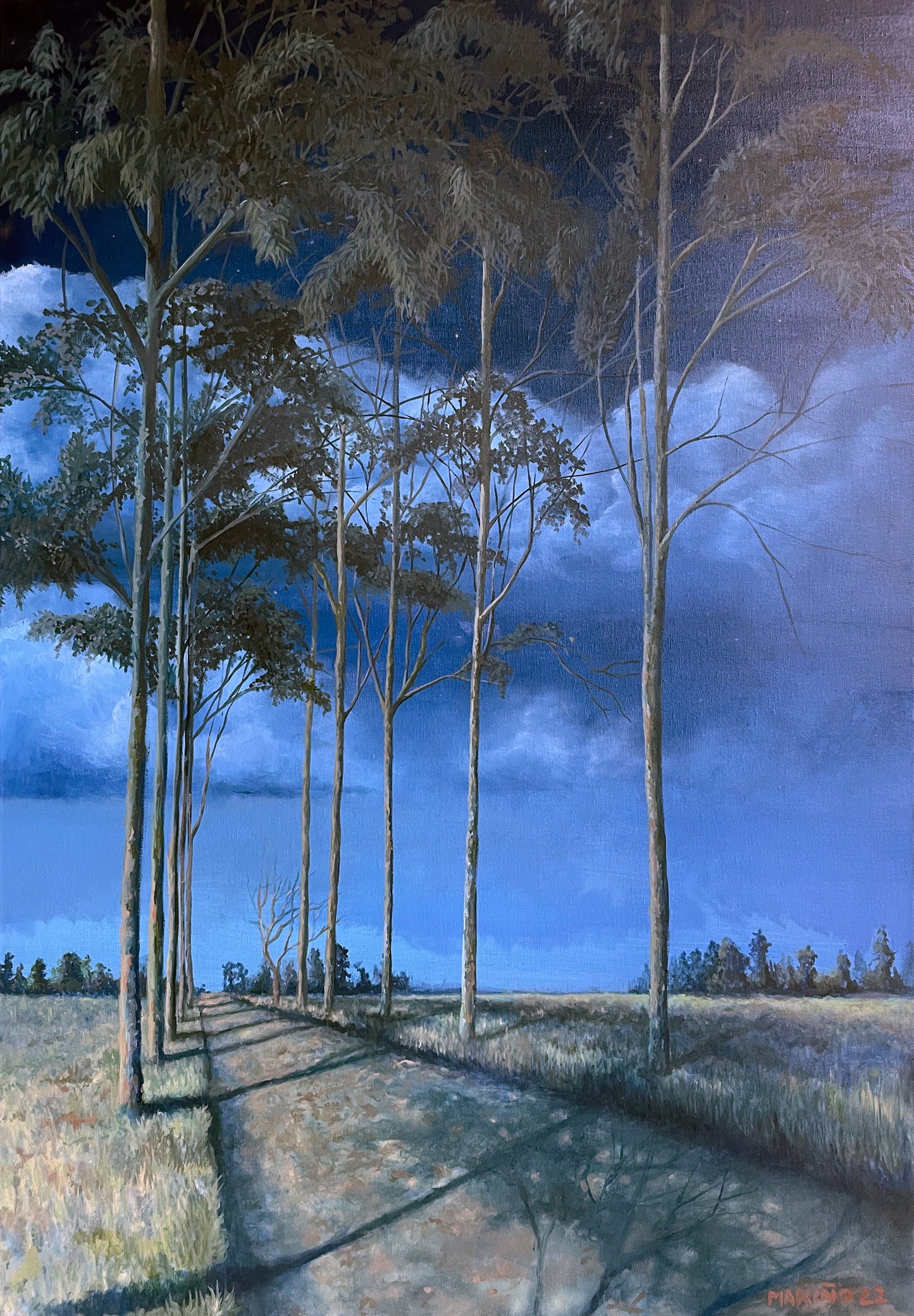 Trees of the Savannah III