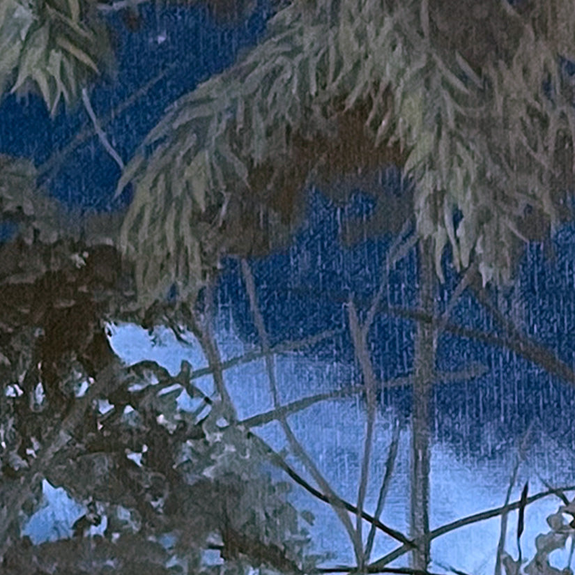 Trees of the Savannah III