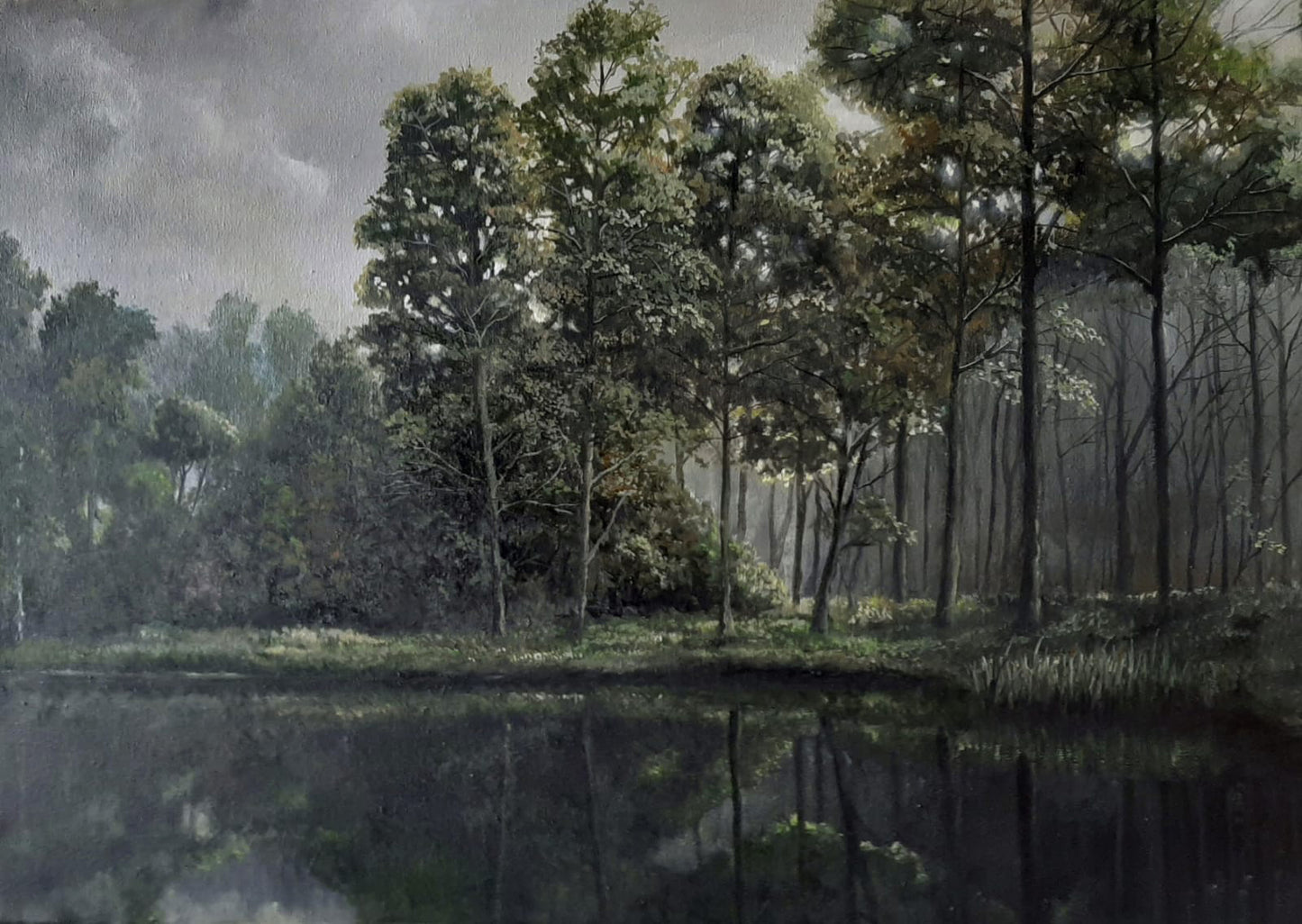 Trees of the Savannah IV
