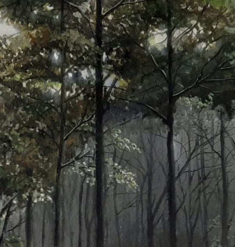 Trees of the Savannah IV