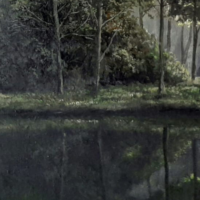 Trees of the Savannah IV