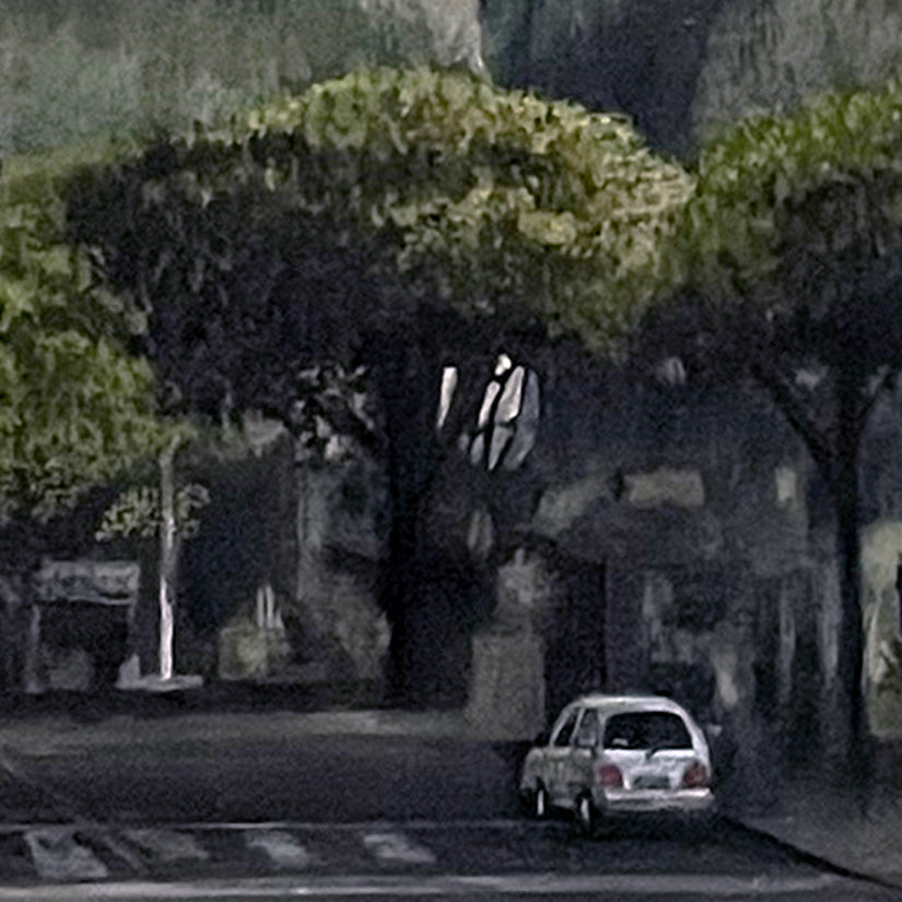 Trees of the Savannah IV